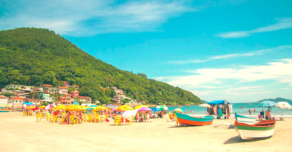 Imóveis na praia do Pântano do Sul próximos a bares e restaurantes.