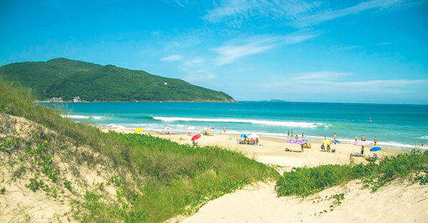 Aluguel de casa e apartamentos próximos a beira mar nas praias do Balneário dos Açores, Pântano do Sul e Solidão.